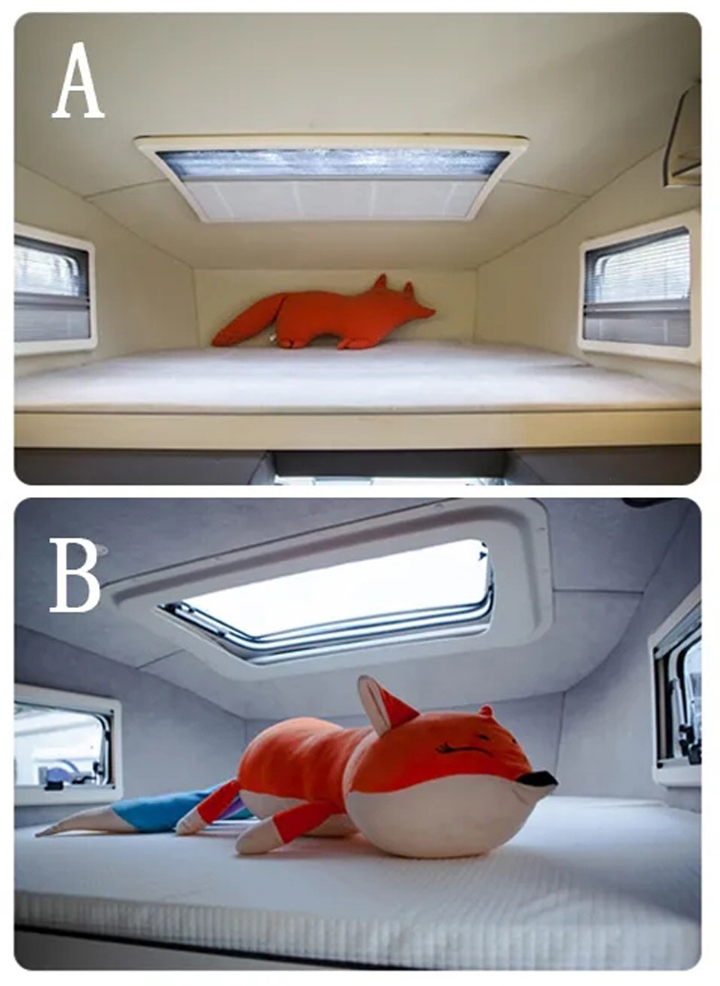 哪款自由炮和您更般配？