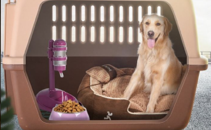 帶著寵物去旅行(一)前期準備 帶著寵物去旅行(一)前期準備