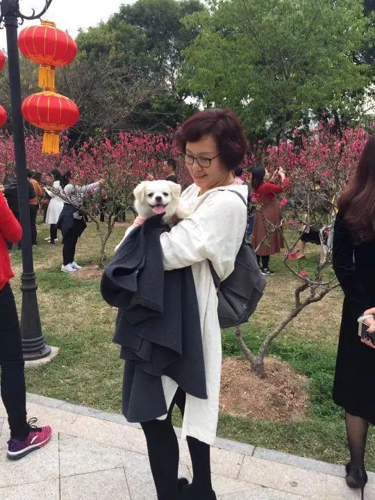 58歲的她,自駕房車旅居,一人兩犬,活成了自己喜歡的樣子 58歲的她,自駕房車旅居,一人兩犬,活成了自己喜歡的樣子